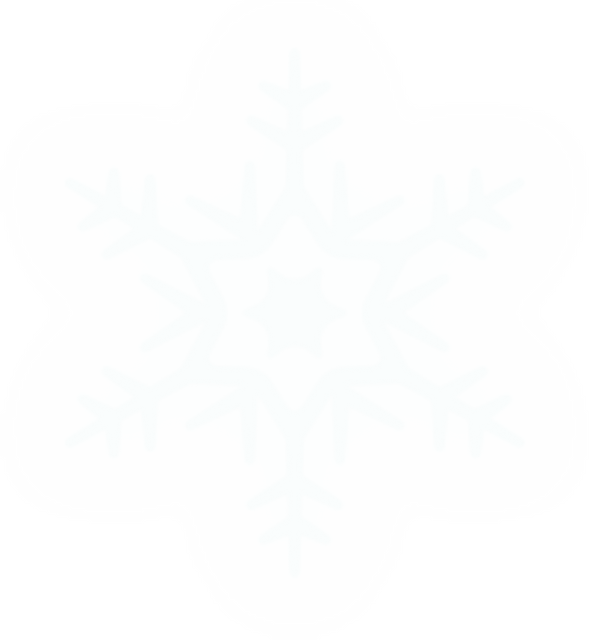 Winter Snowflake Illustration